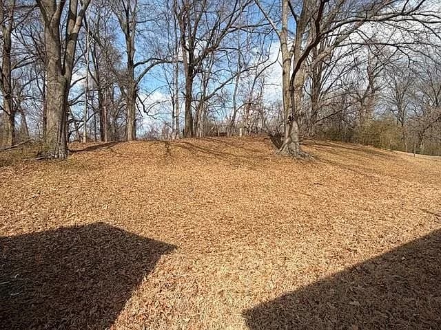 2618 Durham Ave, Memphis, TN 38127 — photo 4