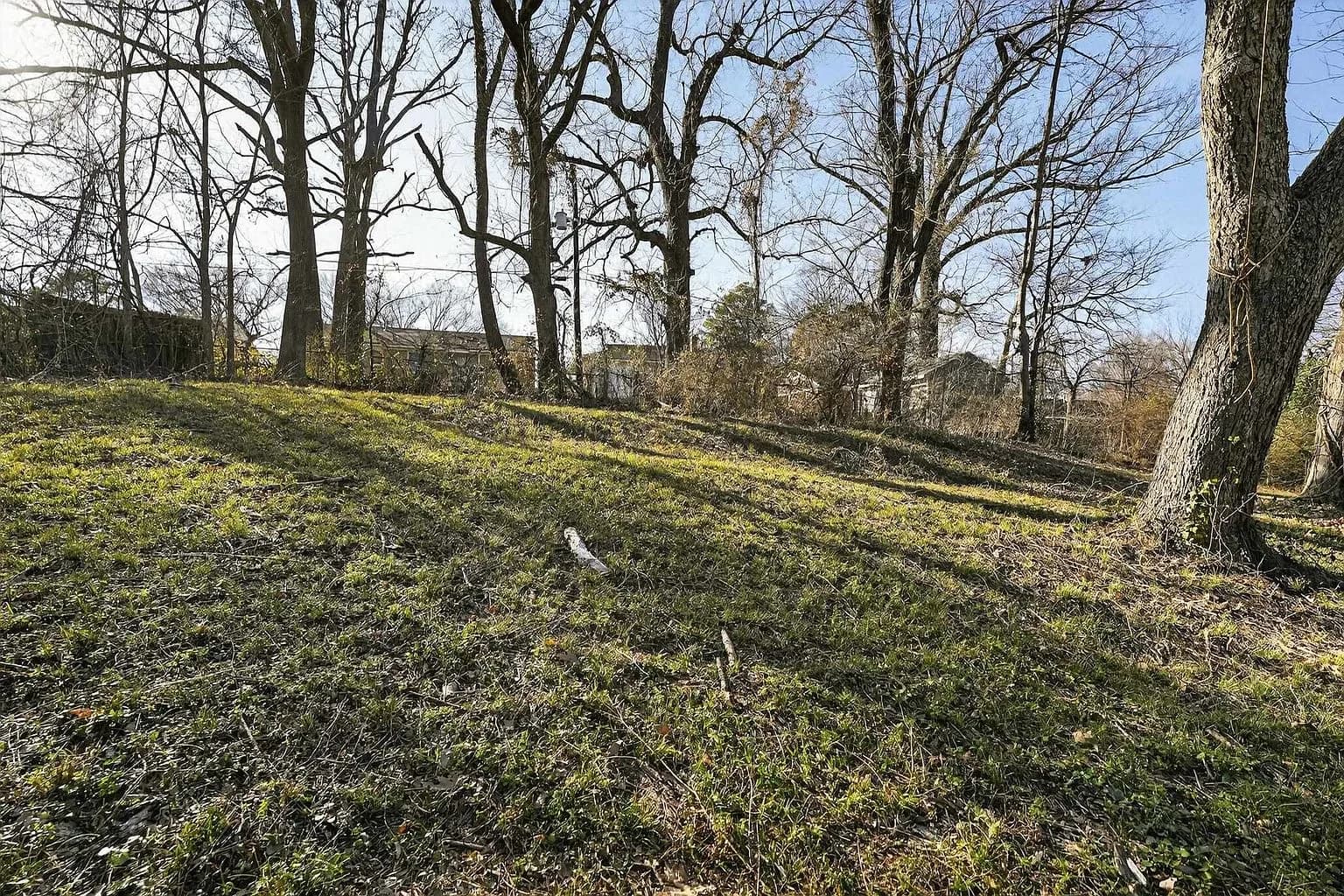 3535 Hallbrook St, Memphis, TN 38127 — photo 11
