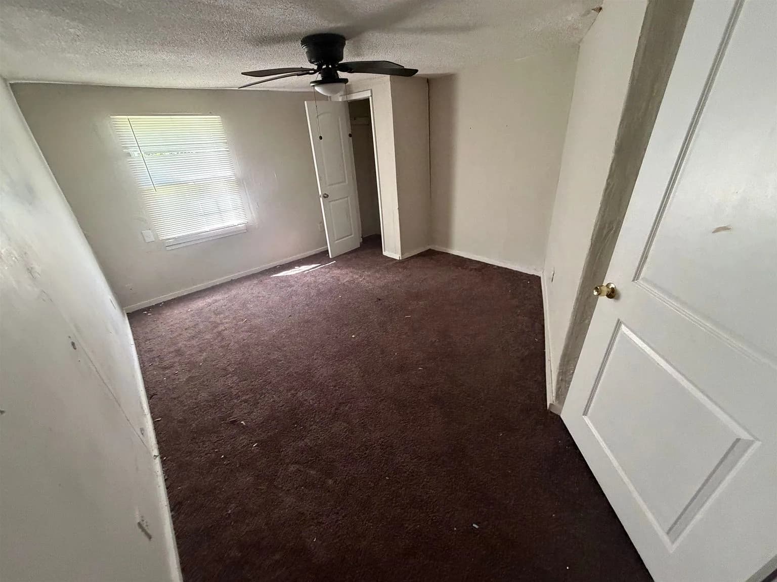 3044 Green Rd, Memphis, TN 38109 — photo 5