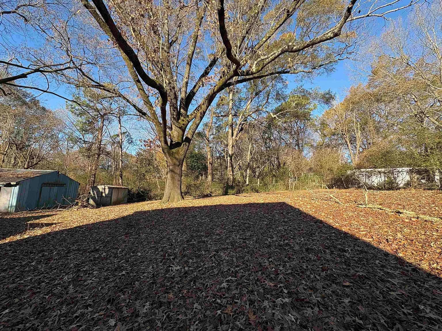 5091 Clinton Rd, Memphis, TN 38109 — photo 10