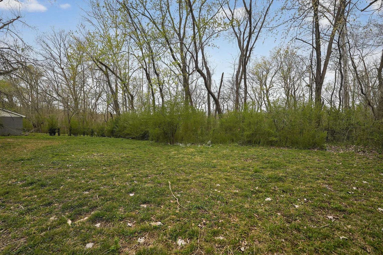 4786 Bluff Wood Cv, Memphis, TN 38128 — photo 11