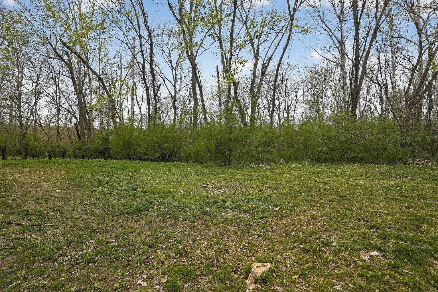 4786 Bluff Wood Cv, Memphis, TN 38128 — photo 13