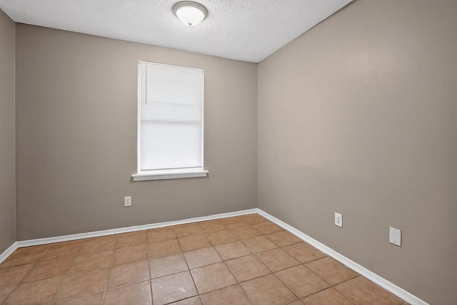 4786 Bluff Wood Cv, Memphis, TN 38128 — photo 19