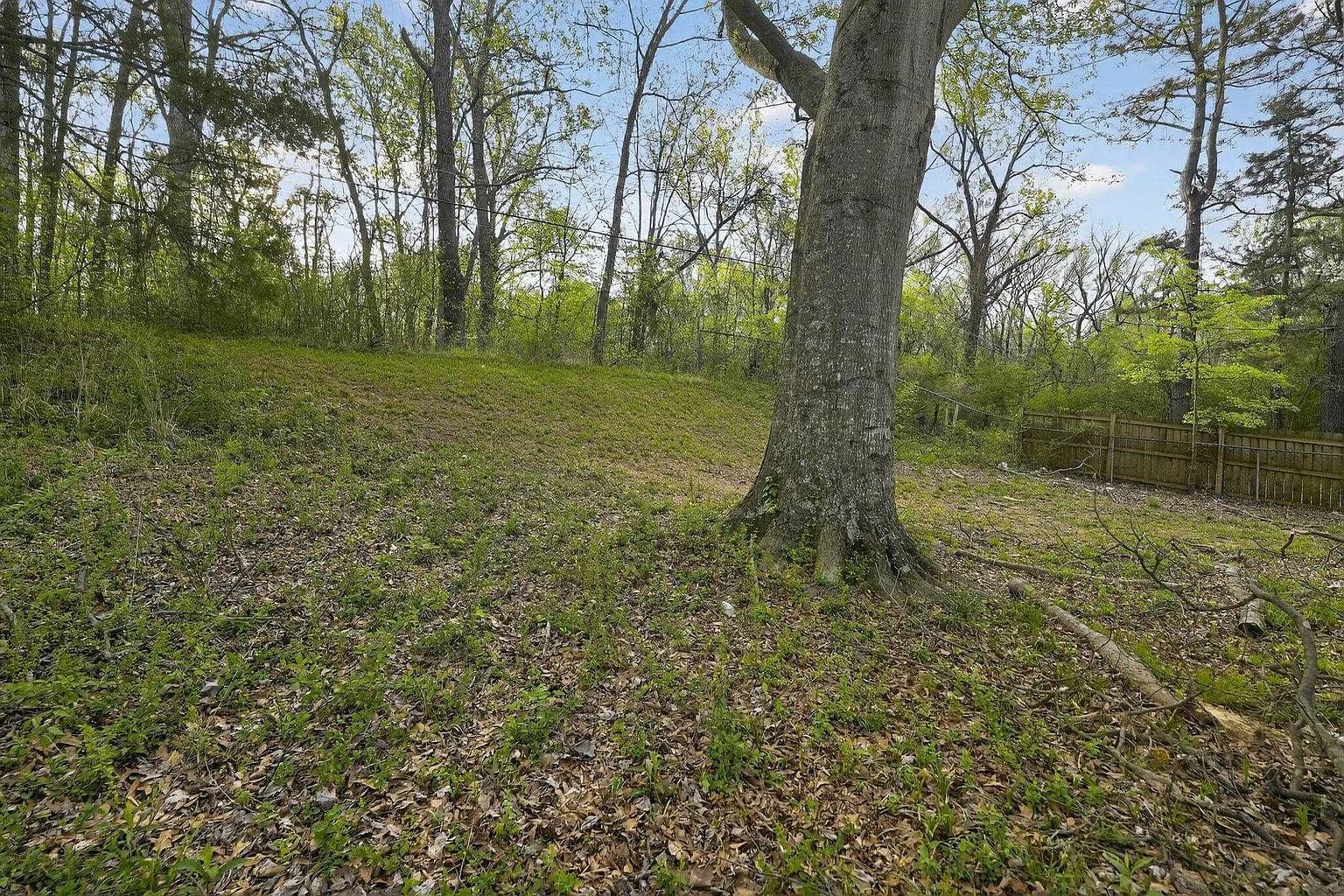 4098 Kerwin Dr, Memphis, TN 38128 — photo 5