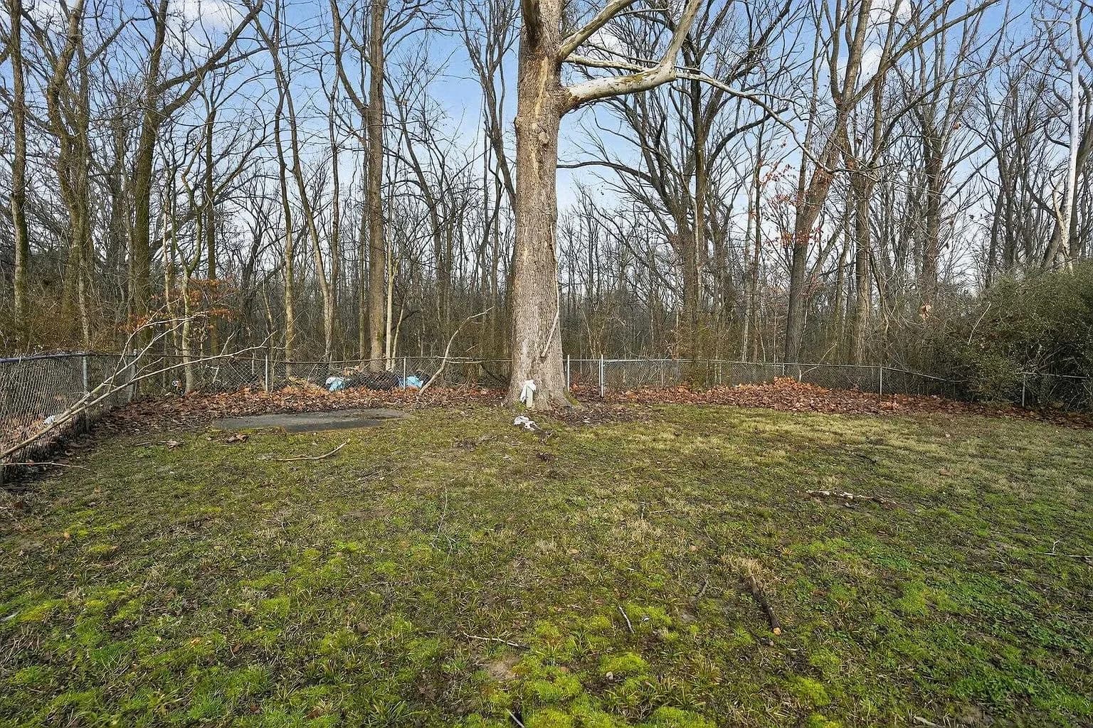 3877 Black Forest Dr, Memphis, TN 38128 — photo 11
