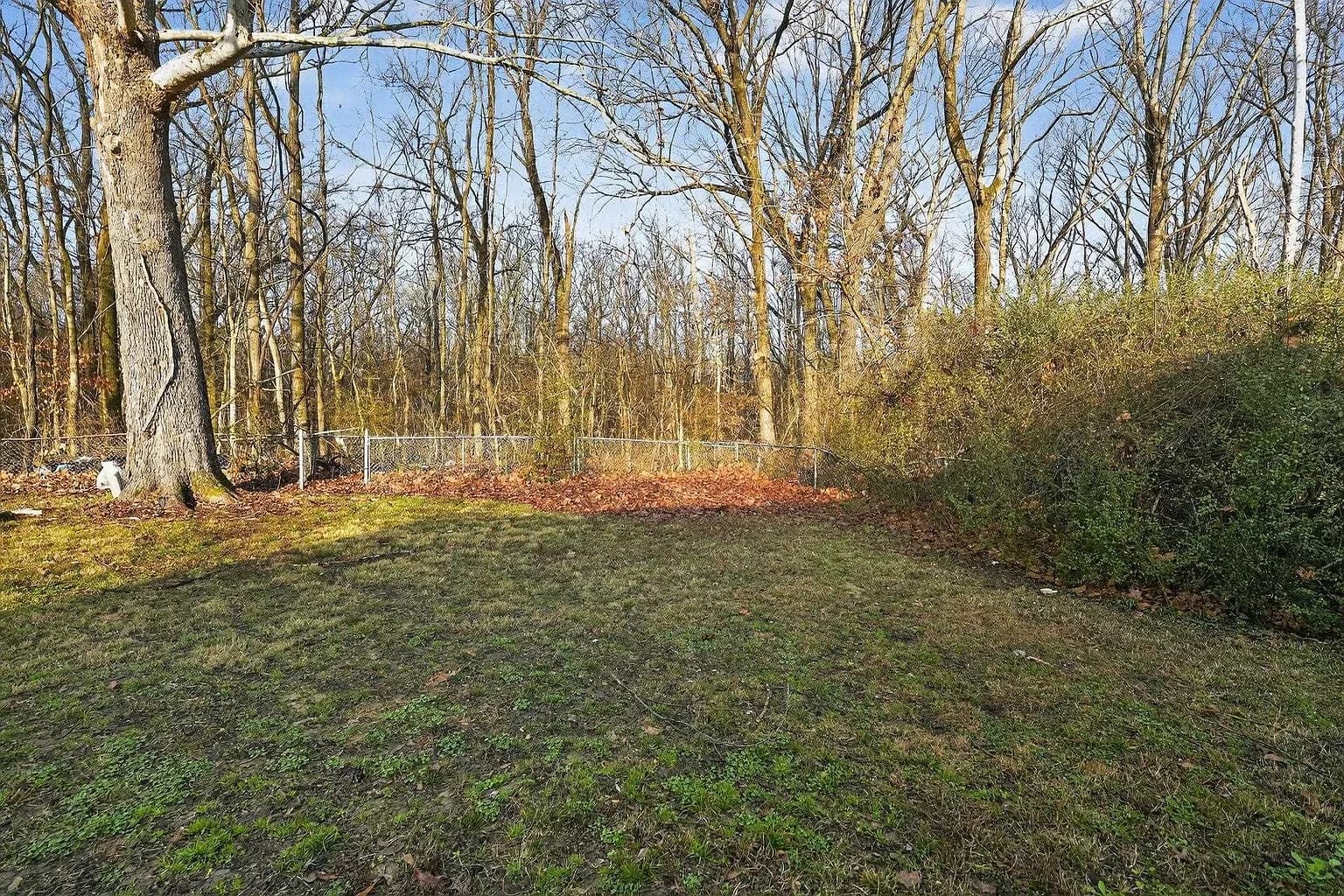 3877 Black Forest Dr, Memphis, TN 38128 — photo 9