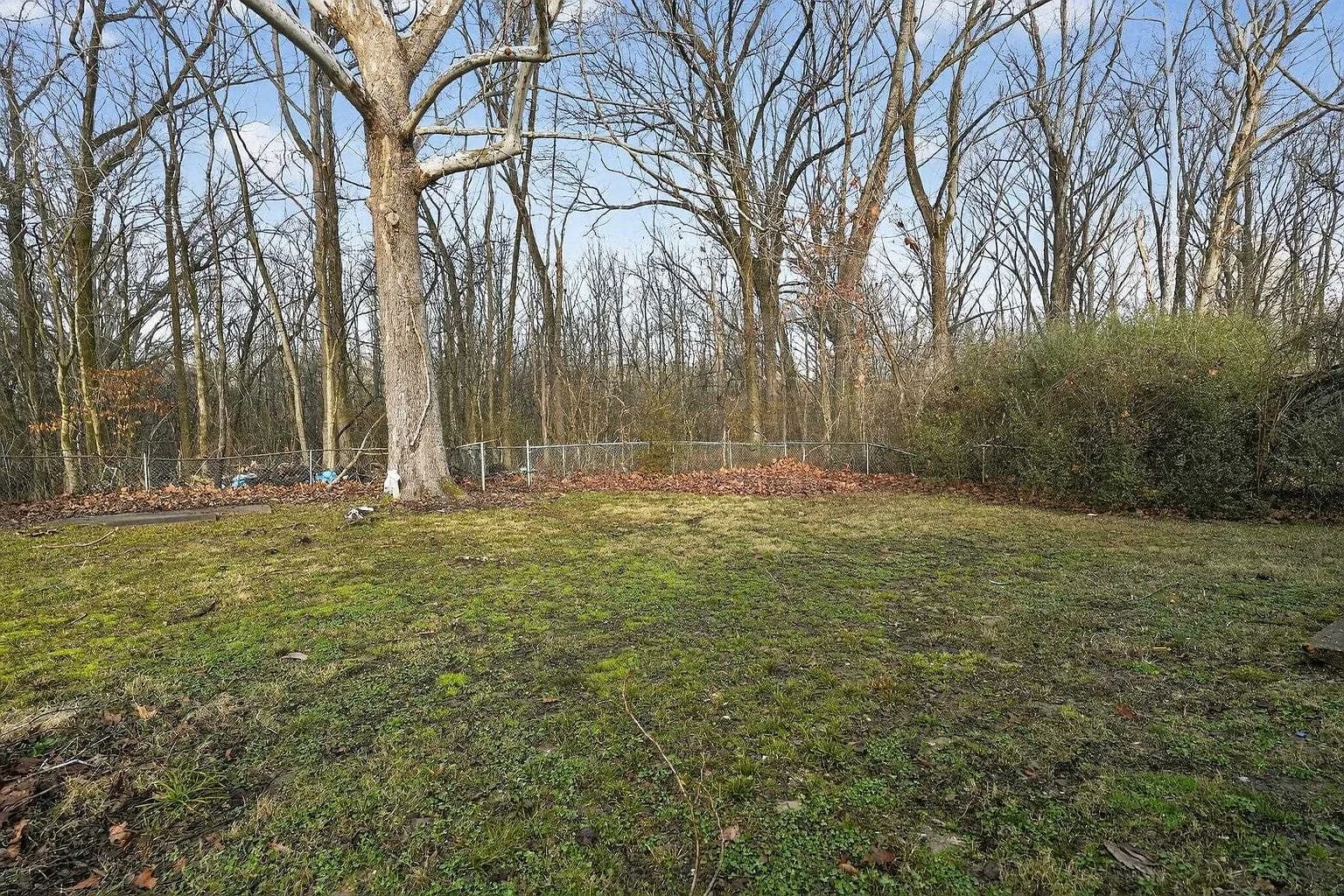 3877 Black Forest Dr, Memphis, TN 38128 — photo 10