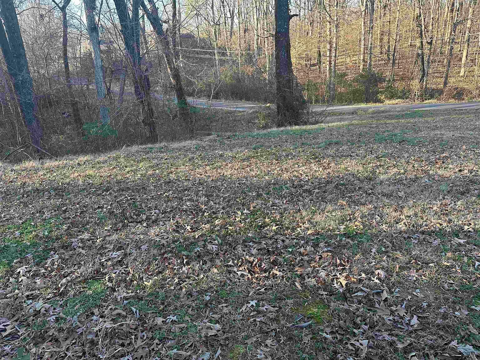 3485 Felton Rd, Memphis, TN 38128 — photo 8